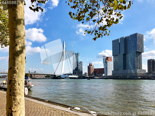 Image of panoramic view of Rotterdam