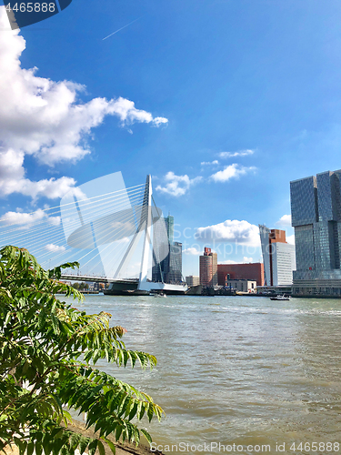 Image of panoramic view of Rotterdam