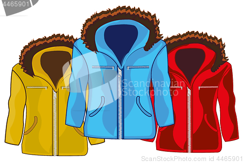 Image of Three winter male jackets of the varied colour