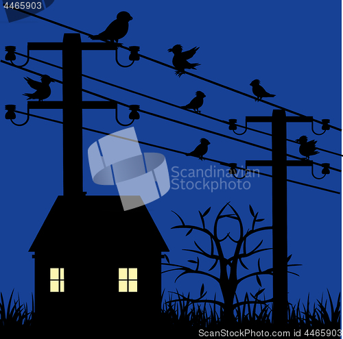 Image of Night landscape with house and electric pole with bird