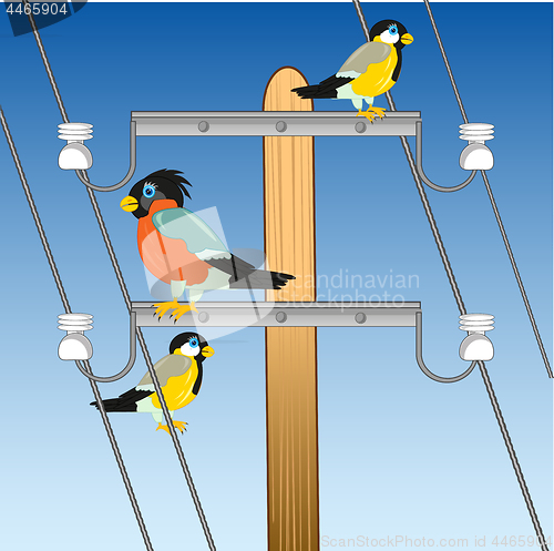 Image of Pole with wire and bird sitting on him