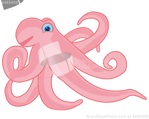 Image of Vector illustration of the rose octopus on white background
