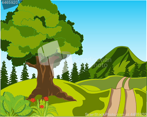 Image of Rural road on nature year daytime.Vector illustration