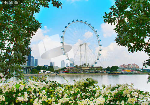 Image of Beautiful Singapore Flyer