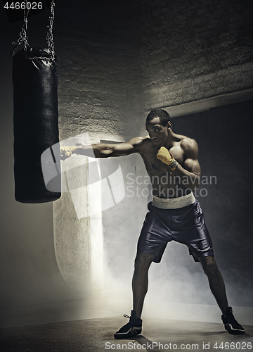 Image of Boxing training and punching bag