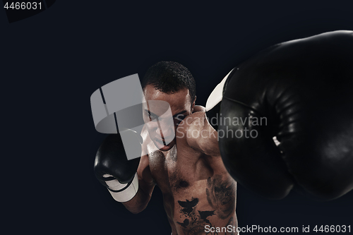 Image of Boxing training and punching bag