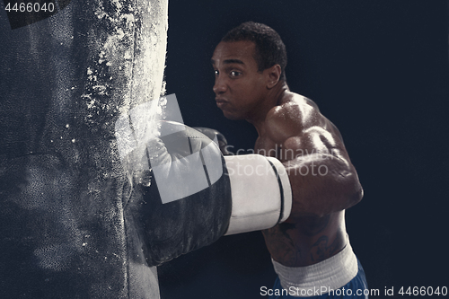 Image of Boxing training and punching bag