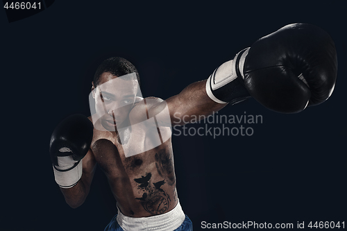 Image of Boxing training and punching bag