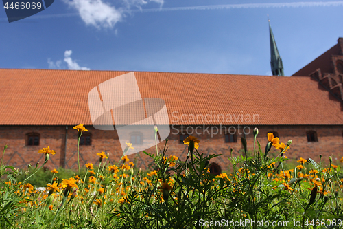 Image of  Vor Frue Monastery, a Carmelite monastery in Elsinore (Helsing