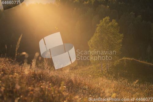 Image of Beauty dawn in the mountains