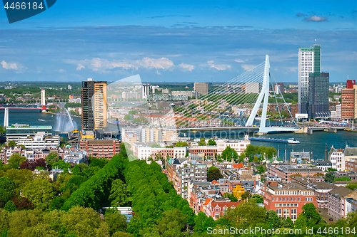 Image of View of Rotterdam city and the Erasmus bridge