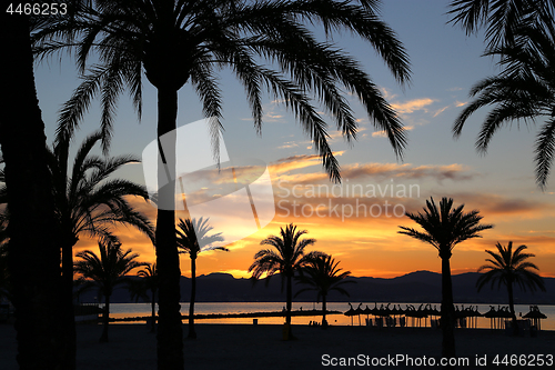 Image of Beautiful sunset on the beach