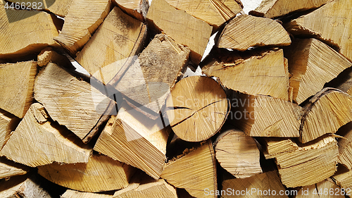 Image of Firewood pile stacked chopped wood trunks