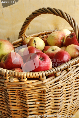 Image of Bright tasty ripe apples in a basket