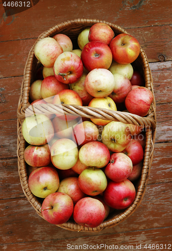 Image of Bright tasty ripe apples in a basket 