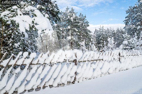 Image of Snow-covered landscape in the countryside. Viitna, Estonia