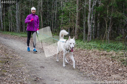 Image of Woman with a dog on a run in the park