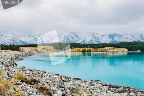 Image of lake pukak in New Zealand.