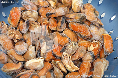 Image of Frozen Mussels