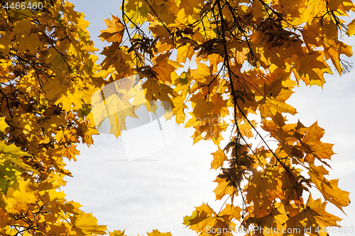 Image of trees in autumn season