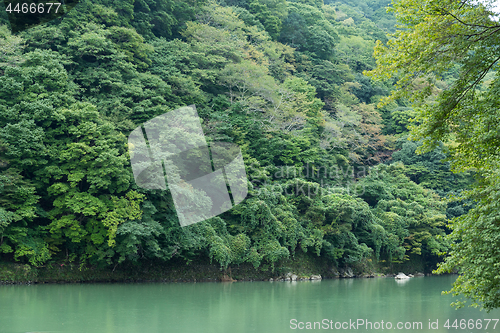 Image of Lake of Arashiyama