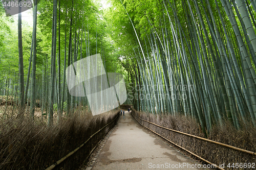 Image of Arashiyama