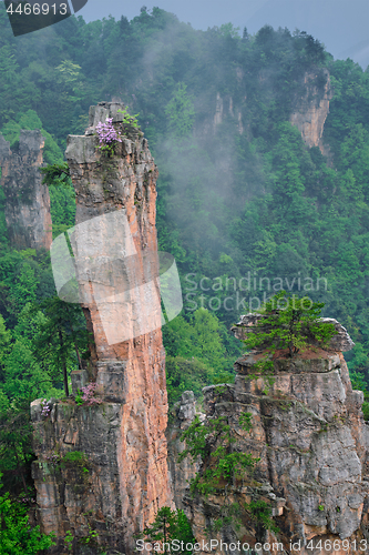 Image of Zhangjiajie mountains, China