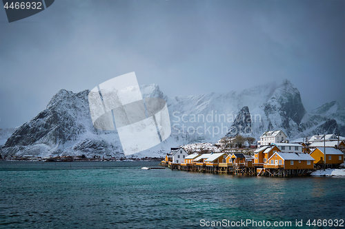 Image of Yellow rorbu houses, Lofoten islands, Norway