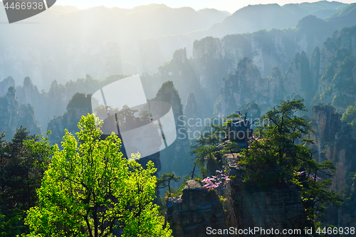 Image of Zhangjiajie mountains, China