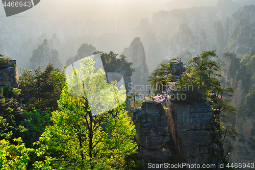 Image of Zhangjiajie mountains, China