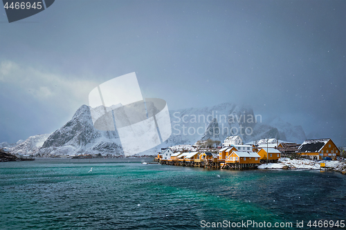 Image of Yellow rorbu houses, Lofoten islands, Norway