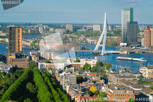 Image of View of Rotterdam city and the Erasmus bridge