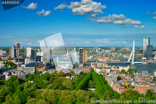 Image of View of Rotterdam city and the Erasmus bridge