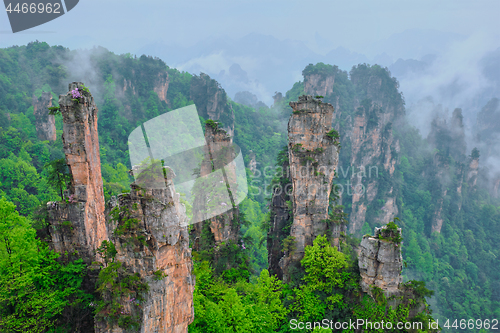 Image of Zhangjiajie mountains, China