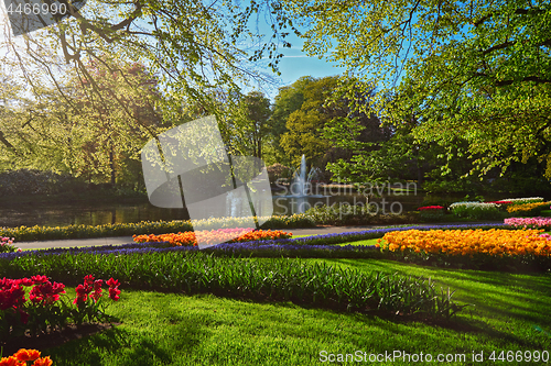 Image of Keukenhof flower garden. Lisse, the Netherlands.