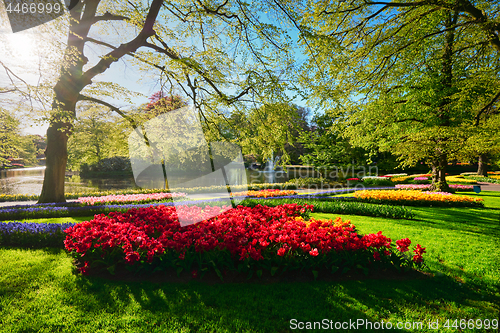 Image of Keukenhof flower garden. Lisse, the Netherlands.