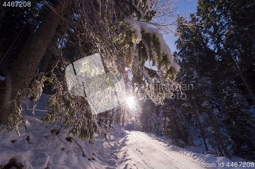 Image of winter road