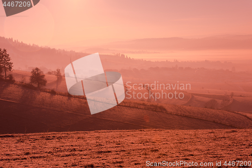 Image of winter landscape scenic  with lonely tree