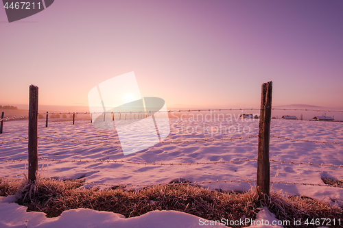 Image of winter landscape scenic  with lonely tree