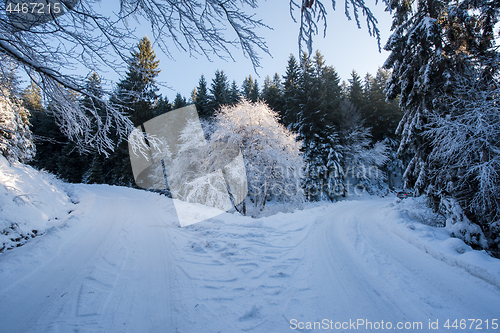 Image of winter road