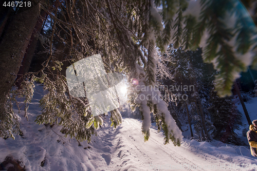 Image of winter road