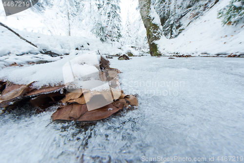 Image of winter creek ice