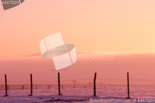 Image of winter landscape scenic  with lonely tree