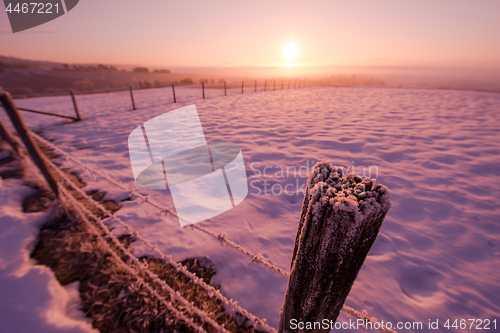 Image of winter landscape scenic  with lonely tree