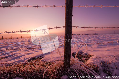 Image of barbed wire fence in winter