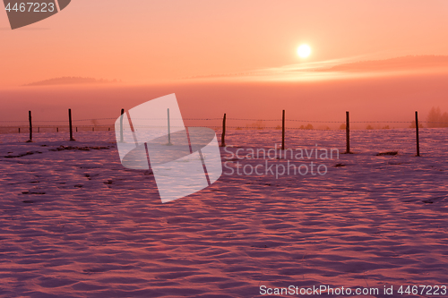 Image of winter landscape scenic  with lonely tree