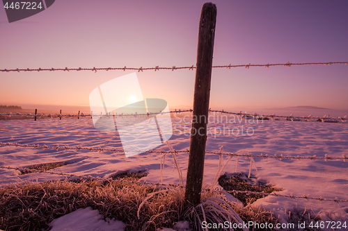 Image of barbed wire fence in winter