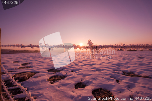 Image of barbed wire fence in winter