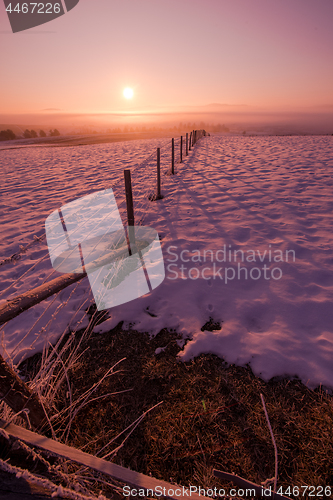 Image of winter landscape scenic  with lonely tree