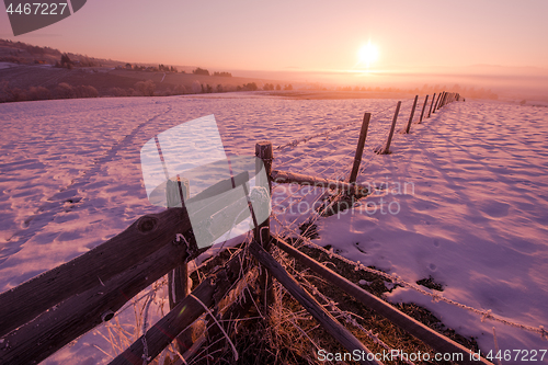 Image of winter landscape scenic  with lonely tree